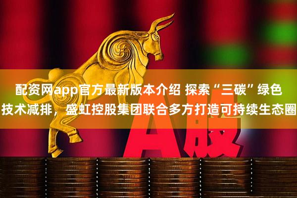 配资网app官方最新版本介绍 探索“三碳”绿色技术减排,盛虹控股集团联合多方打造可持续生态圈