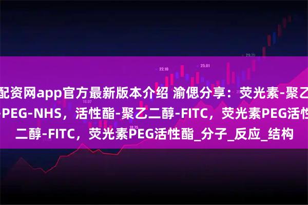 配资网app官方最新版本介绍 渝偲分享:荧光素-聚乙二醇-活性酯,FITC-PEG-NHS,活性酯-聚乙二醇-FITC,荧光素PEG活性酯_分子_反应_结构